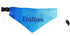 Pet Bandanas-Custom Designing
