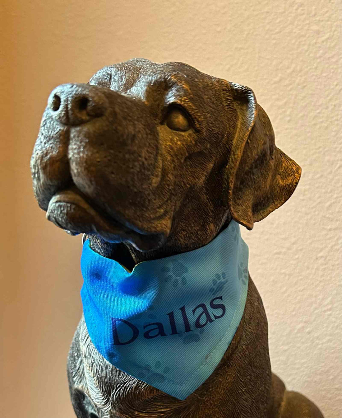 Pet Bandanas-Custom Designing