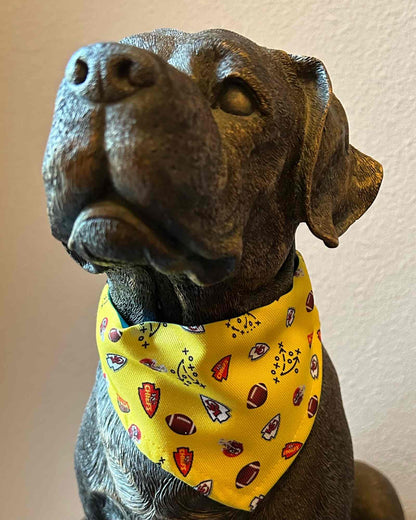 Pet Bandanas-Custom Designing